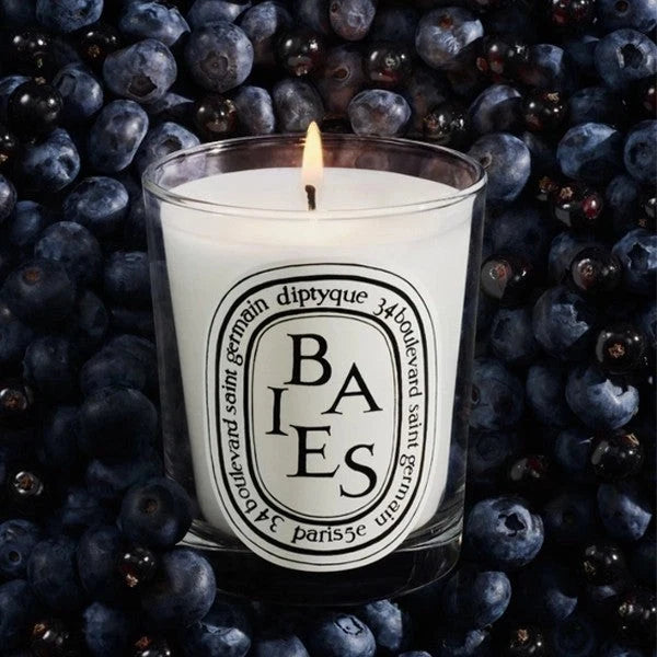 Diptyque Baies Candle 190g