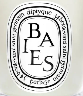 Diptyque Baies Candle 190g